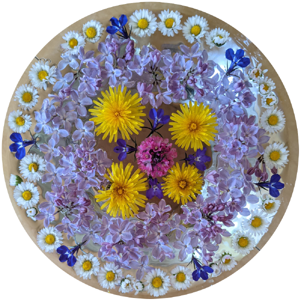 F l o w e r s